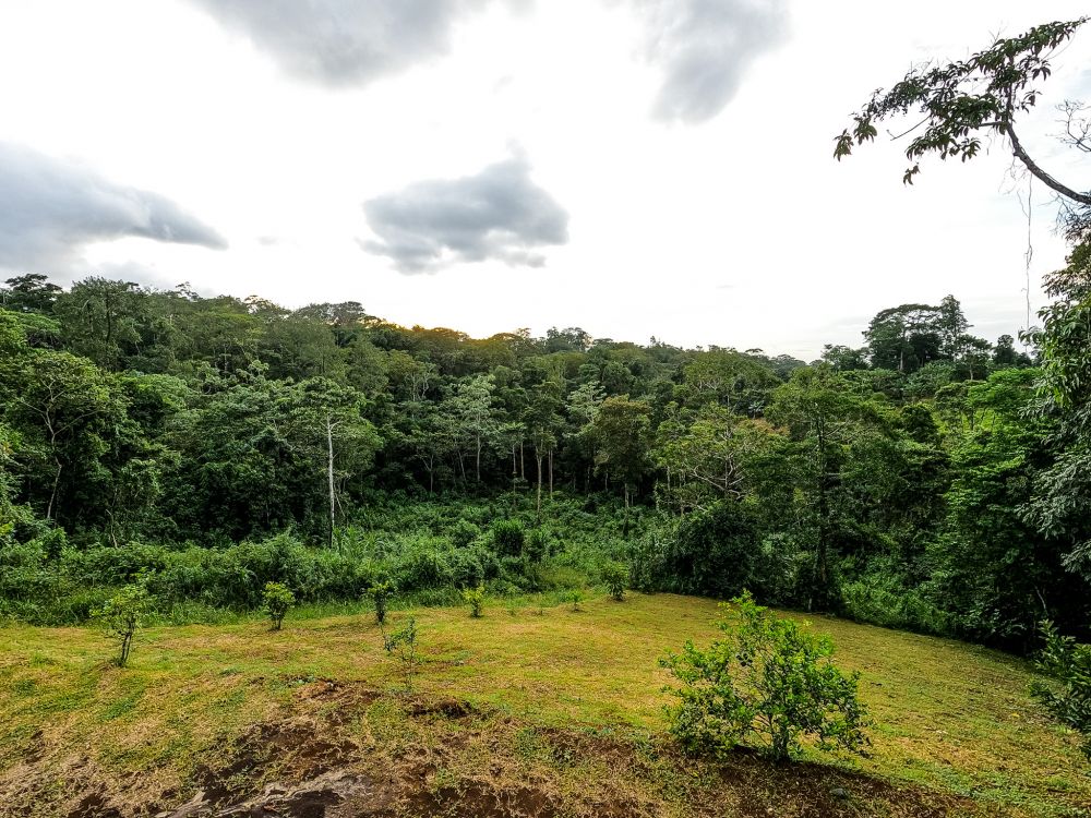 Terreno general en Venta en Quesada, Costa Rica