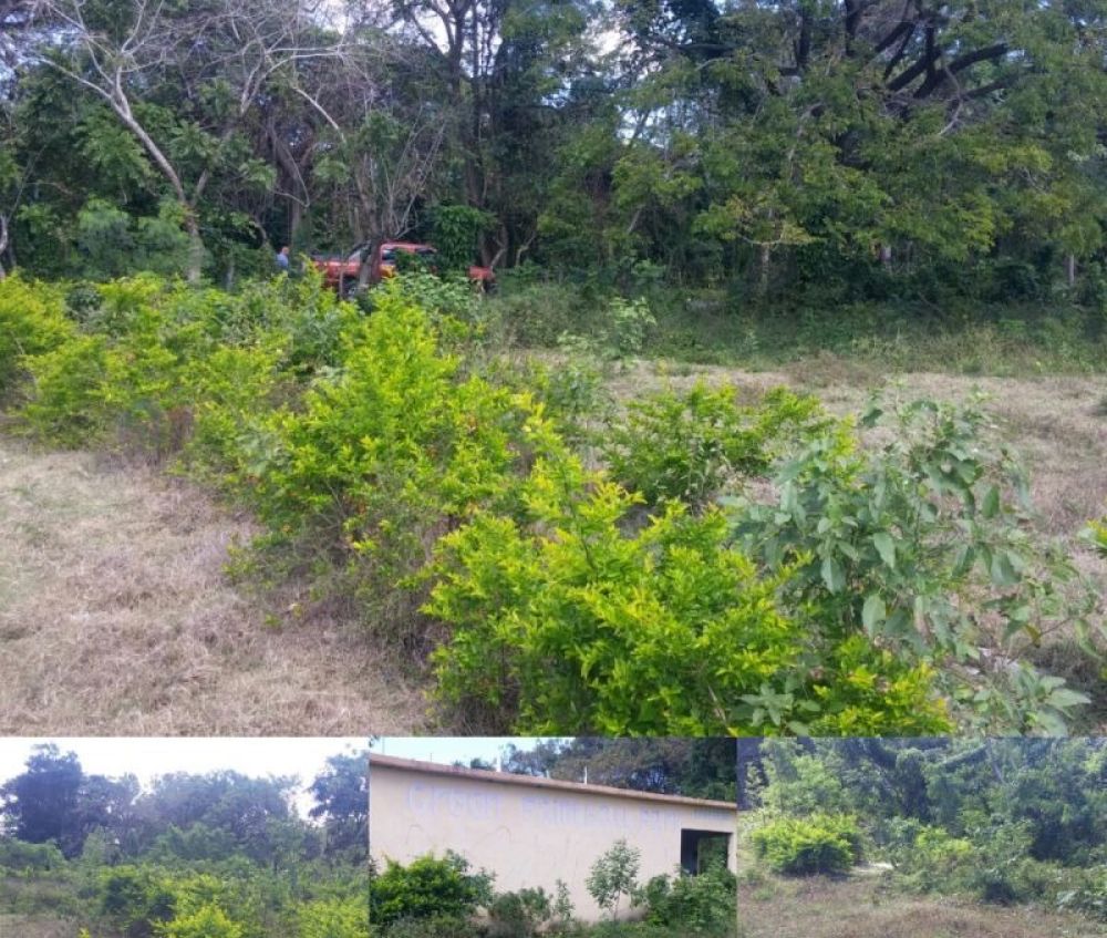 Terreno general en Venta en San Jose, Costa Rica