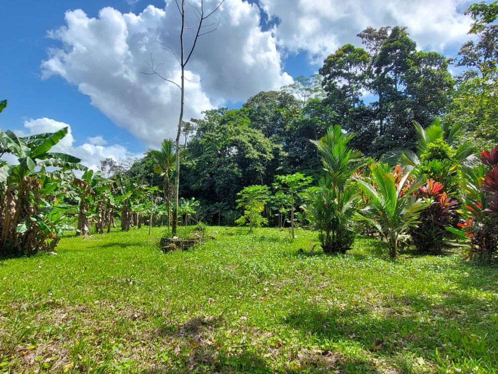 Propiedad en Costa Rica, Guapiles