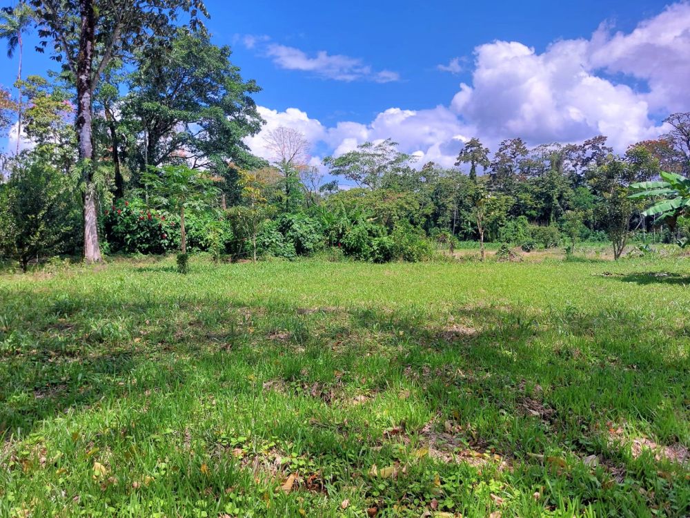 Propiedad en Costa Rica, Guapiles