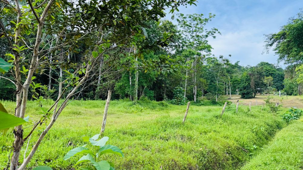 Terreno general en Venta en Limon (Puerto Limon), Costa Rica