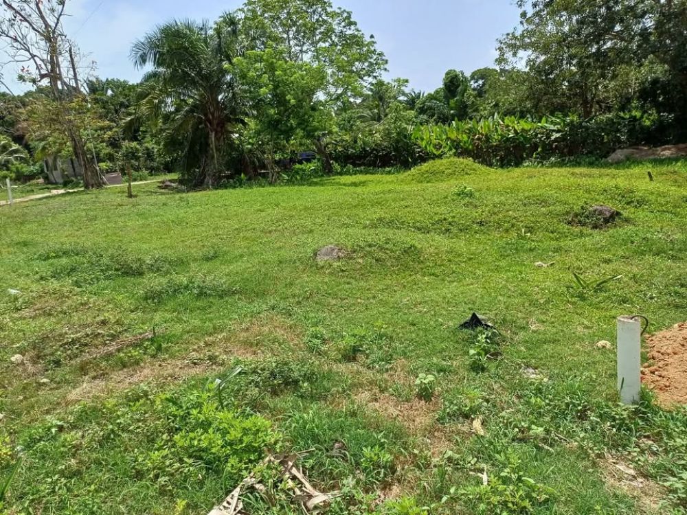 Propiedad en Honduras, Tela