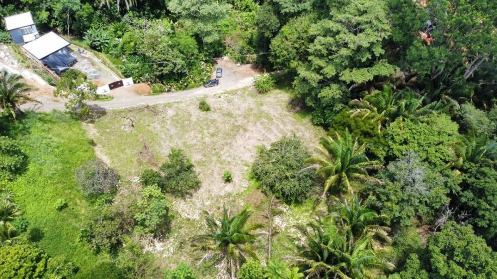 Propiedad en Costa Rica, Puntarenas